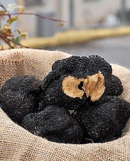 tartufo_nero